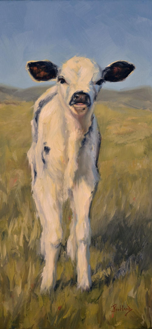 Curious Calf 17.5x8.25 $575 at Hunter Wolff Gallery